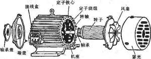 振動(dòng)電機(jī)損壞的常見(jiàn)原因有哪些？